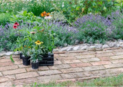 Terrassement jardin joyeux hommes après