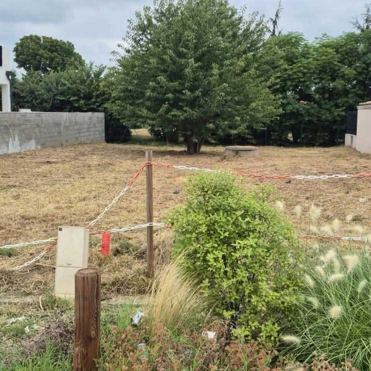 After image