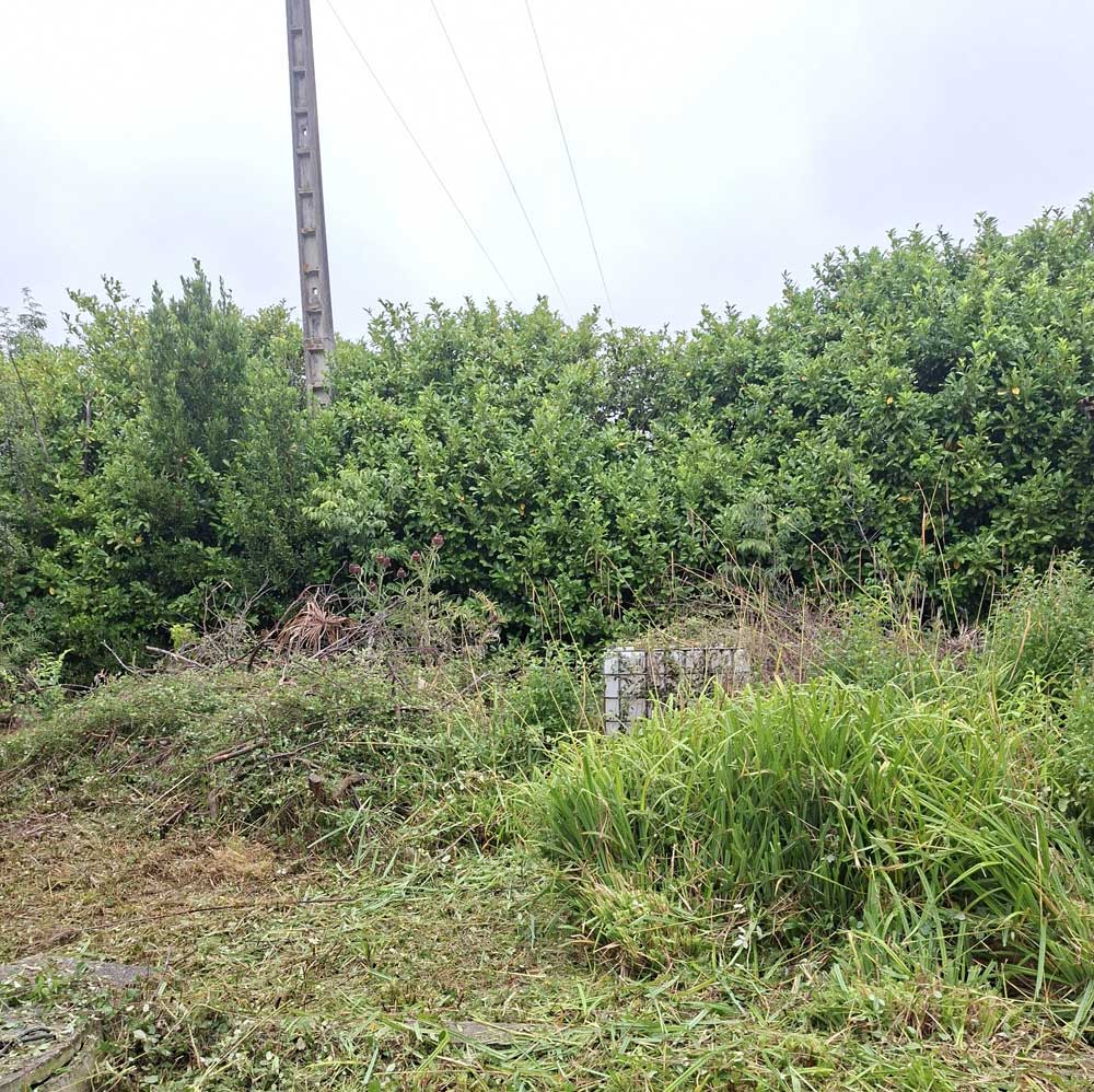 Before image